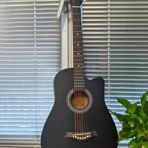 Home guitar